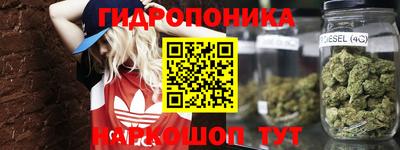 винт Кандалакша