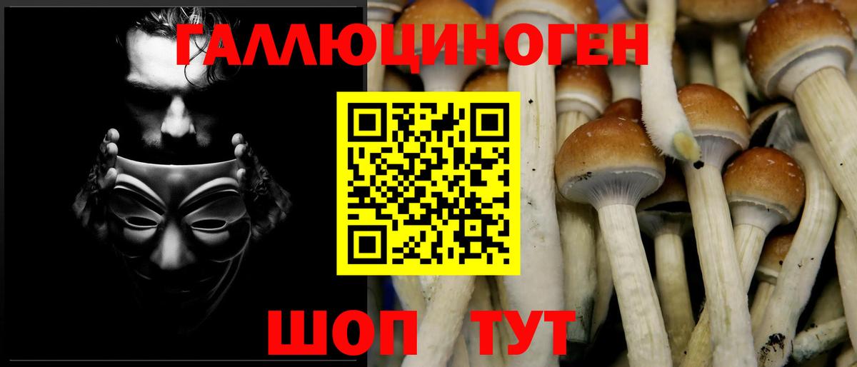 Галлюциногенные грибы мухоморы  Вход с VPN  Углич  Псилоцибиновые грибы Magic Shrooms 